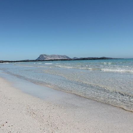 Vista Sul Mare E Tavolara Budoniaffitti Порто Сан Паоло Екстериор снимка