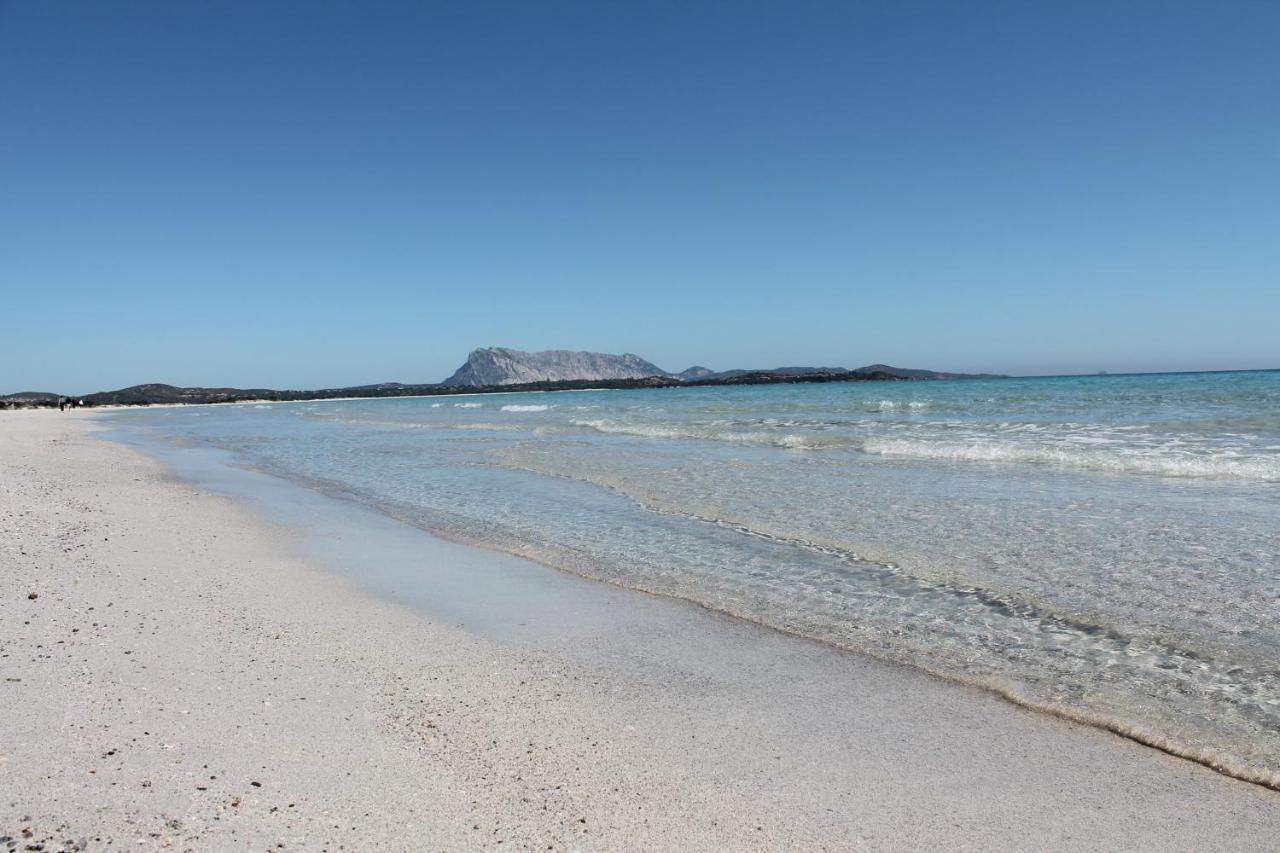 Vista Sul Mare E Tavolara Budoniaffitti Порто Сан Паоло Екстериор снимка