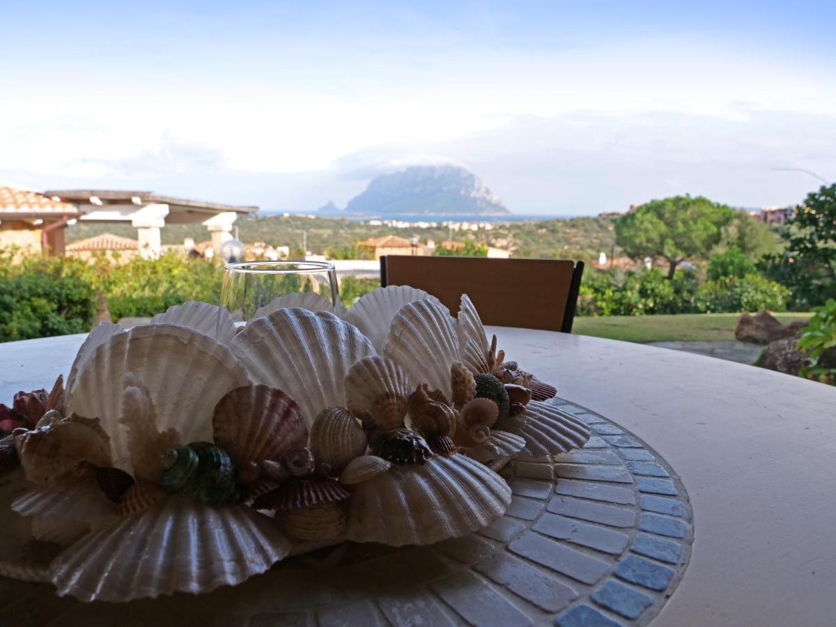 Vista Sul Mare E Tavolara Budoniaffitti Порто Сан Паоло Екстериор снимка